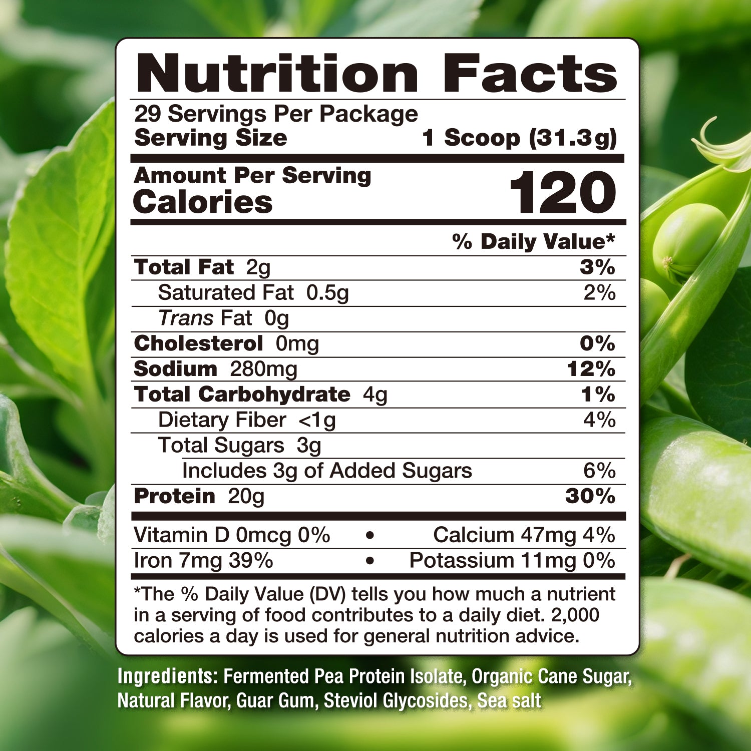 Fermented Pea Protein 2lb Pouch - Vanilla Flavor