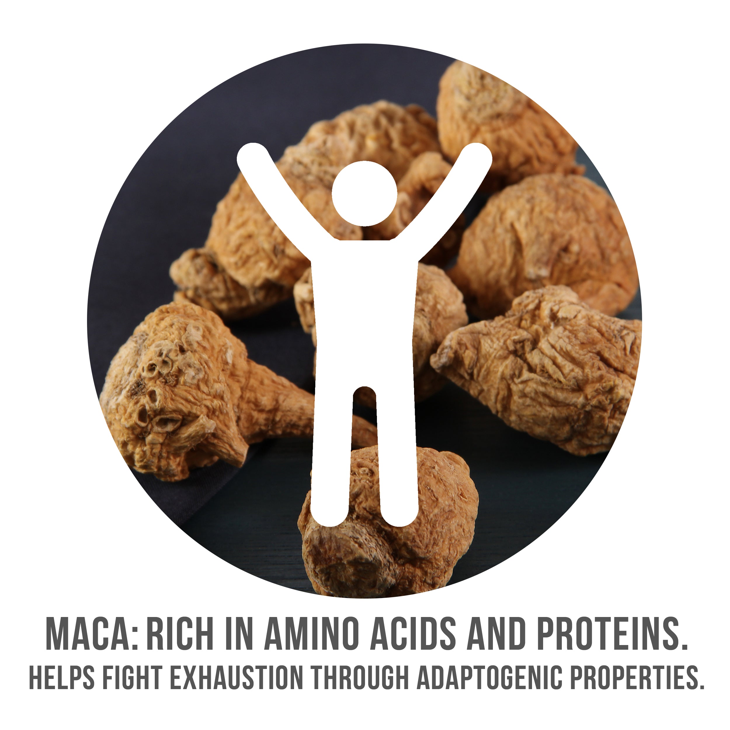Maca: Rich in Amino Acids and Proteins