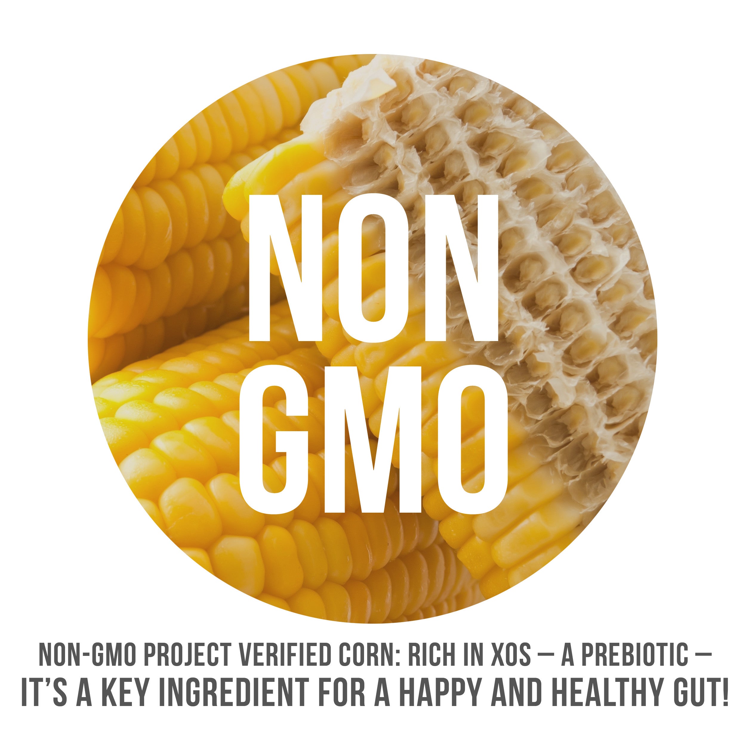 Non-GMO Prebiotic