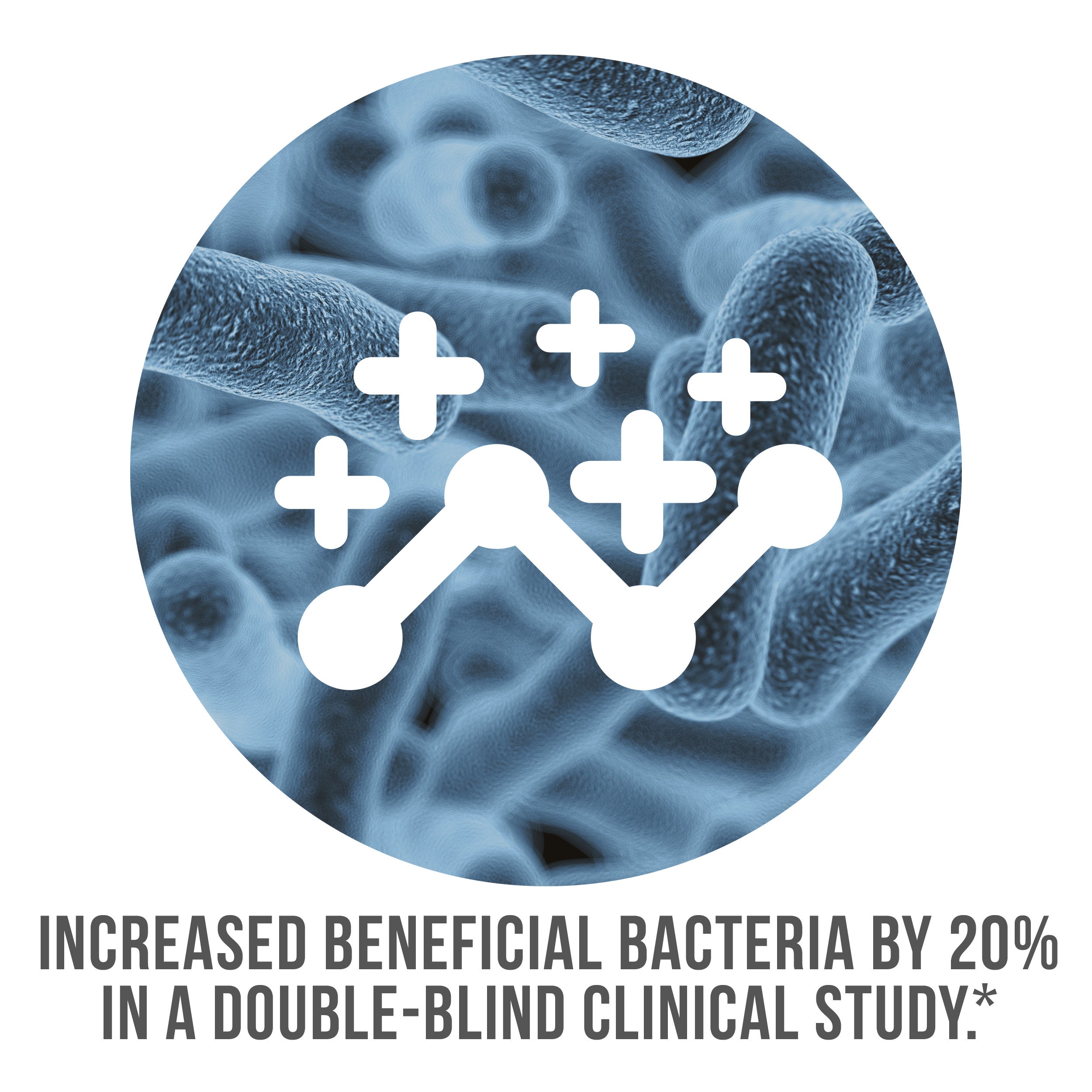 Increased Beneficial Bacteria