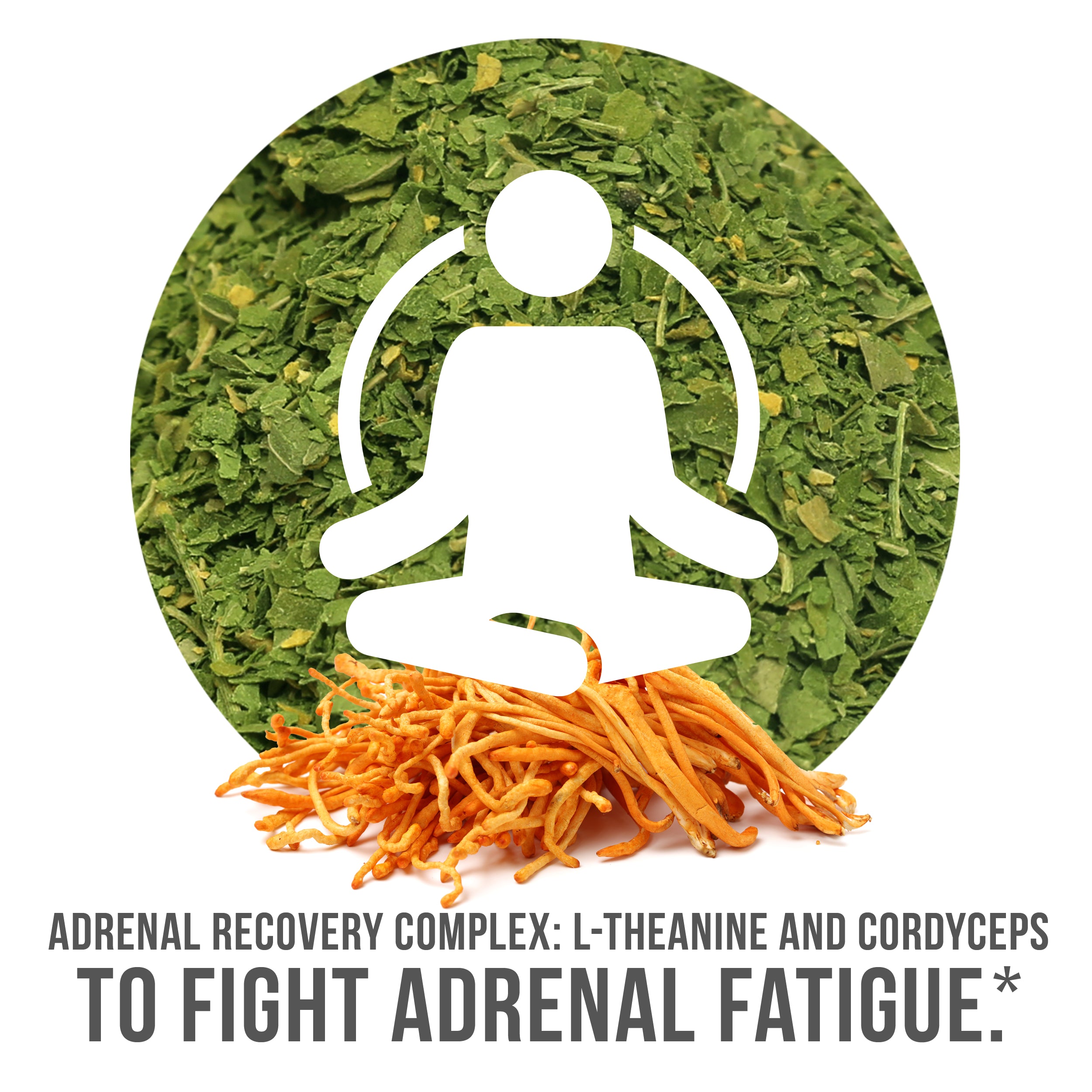 Adrenal Recovery Complex fights Adrenal Fatigue
