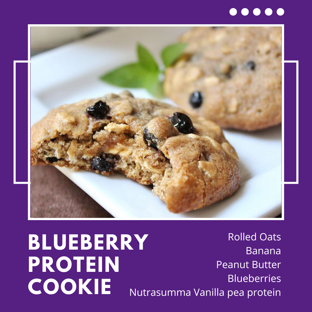 Blueberry Oatmeal Protein Cookies
