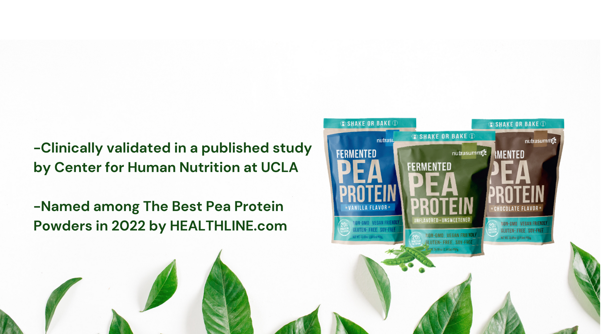 Healthline Names Nutrasumma with the best Pea Protein Powder Award of 2021