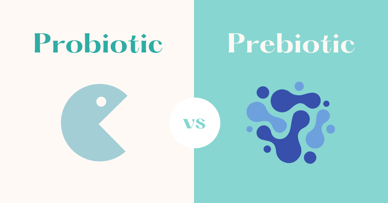 10 Most Commonly Asked Questions About Prebiotics – Answered!