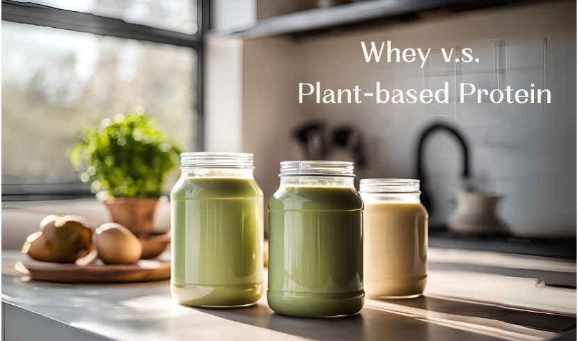 Whey V.S. Plant-based protein, which one is better?