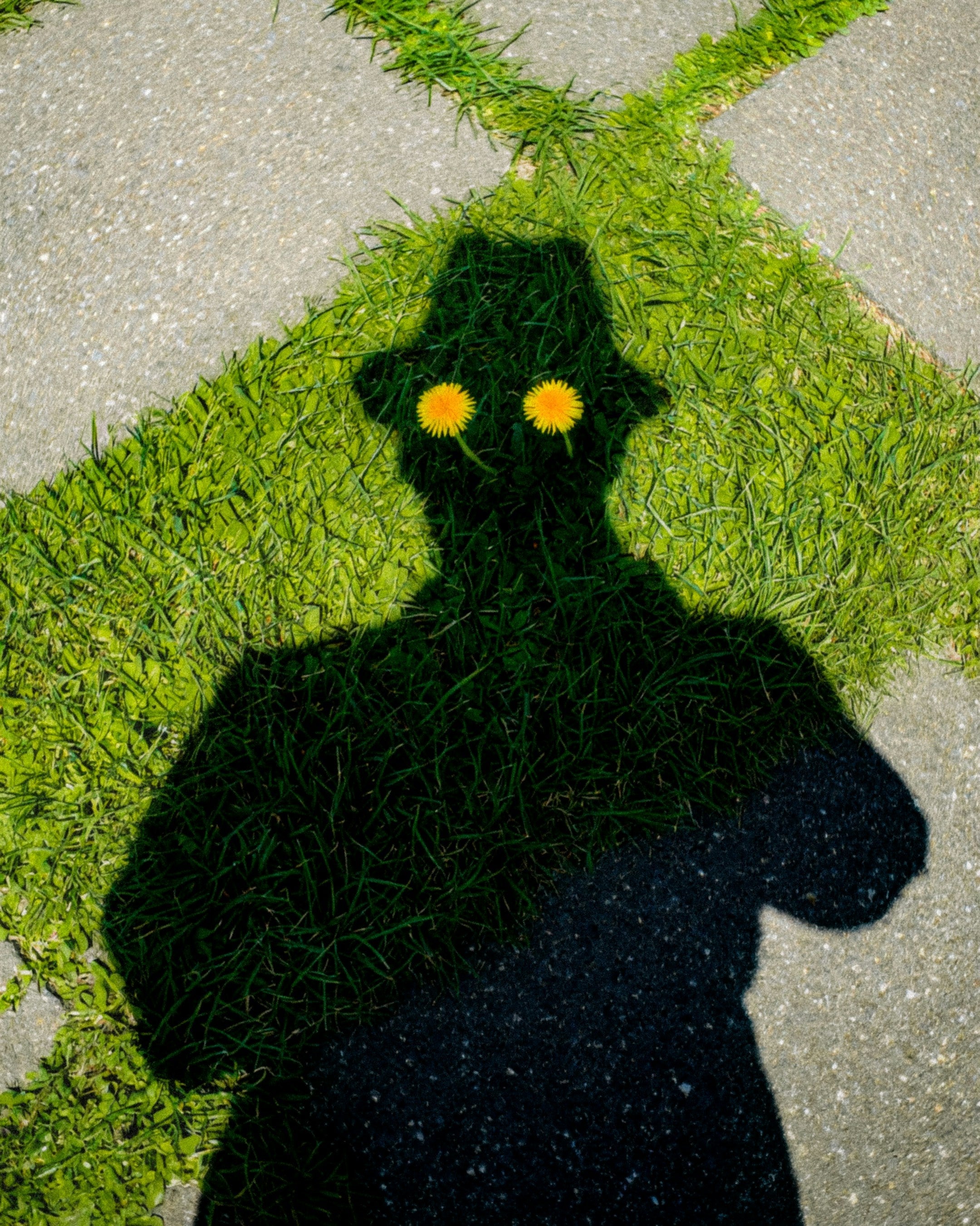 The Role of Protein in Healthy Aging