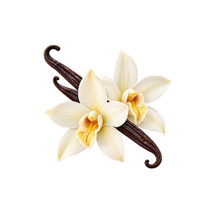 Vanilla