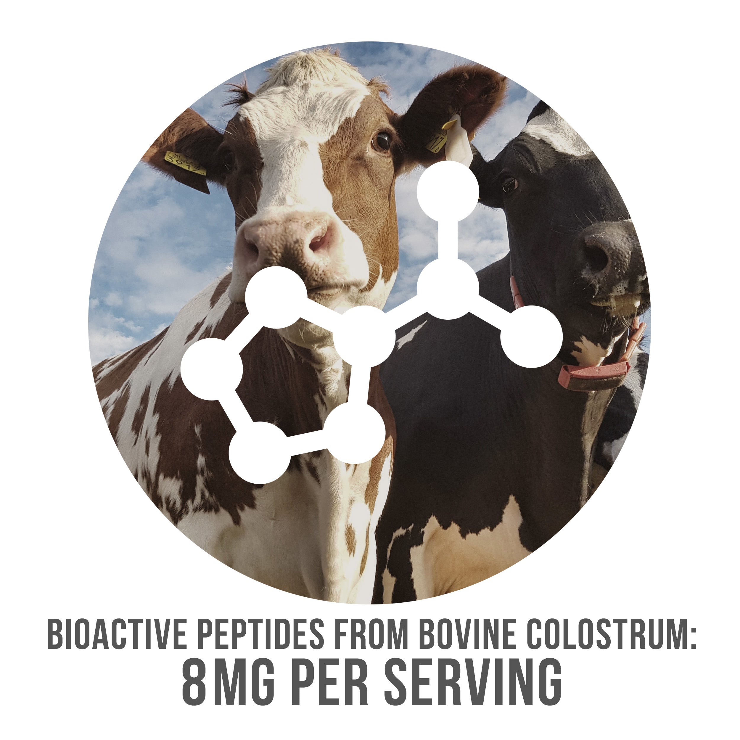 Bioactive Peptides from Bovine Colostrum 