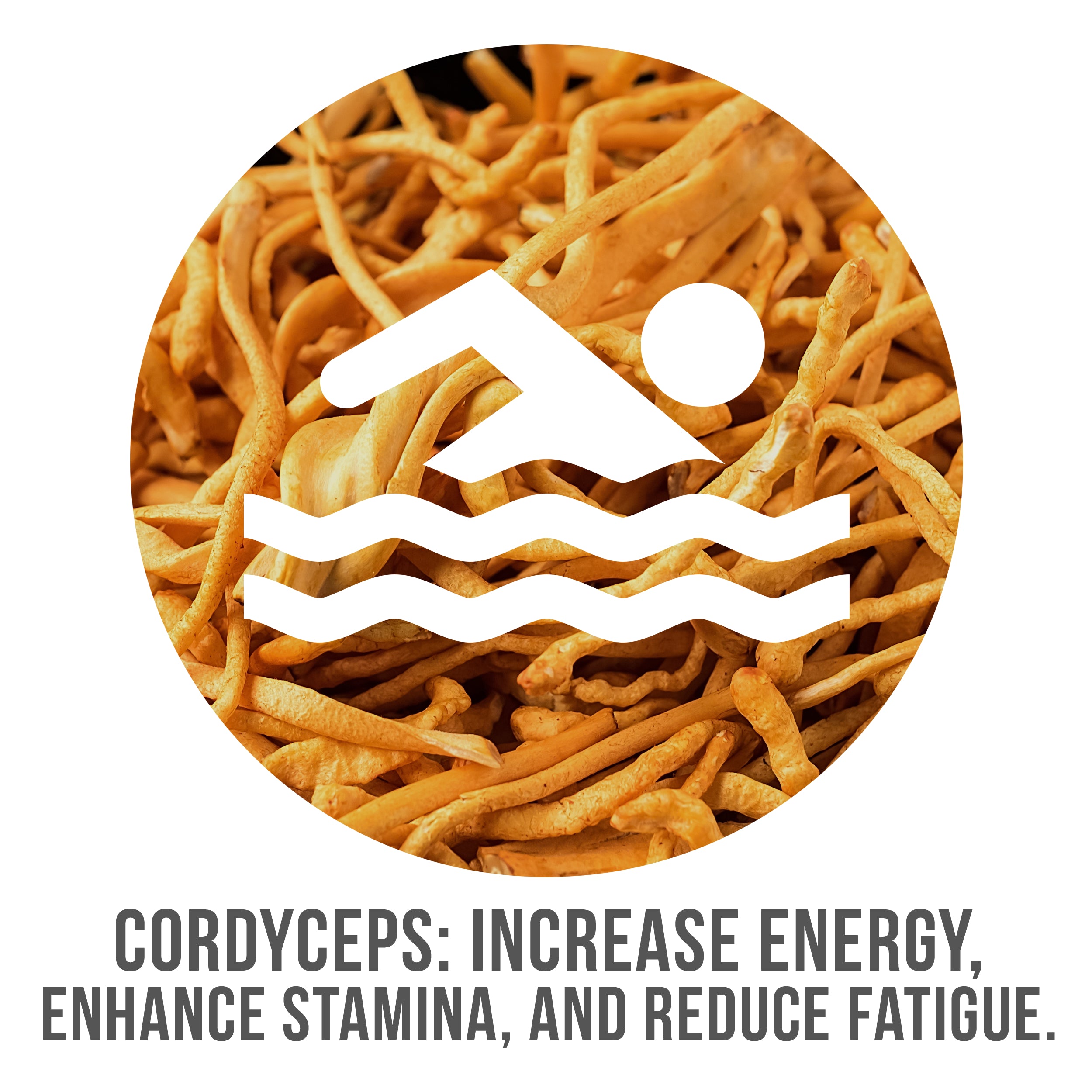 Cordyceps: Increase Energy, Enhance Stamina, and Reduce Fatigue 
