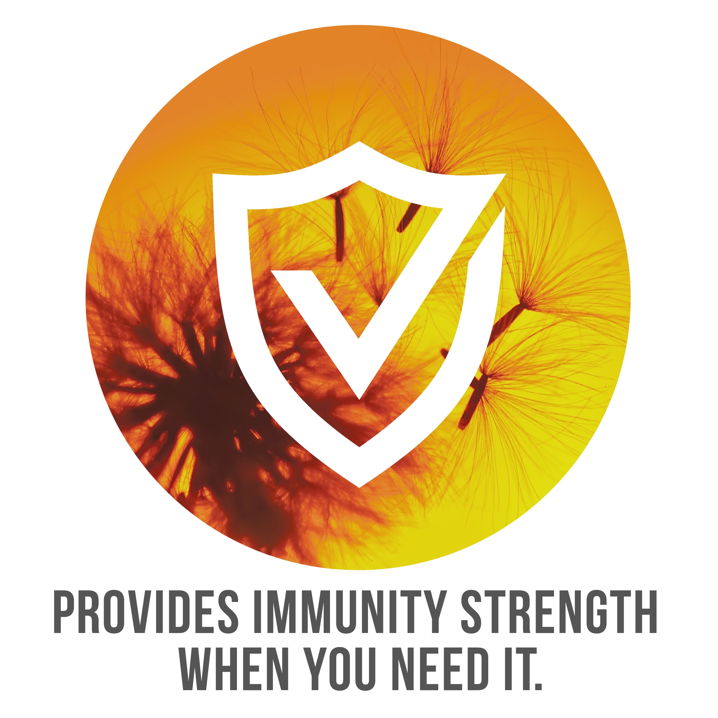 provides Immunity and Strength when you need it