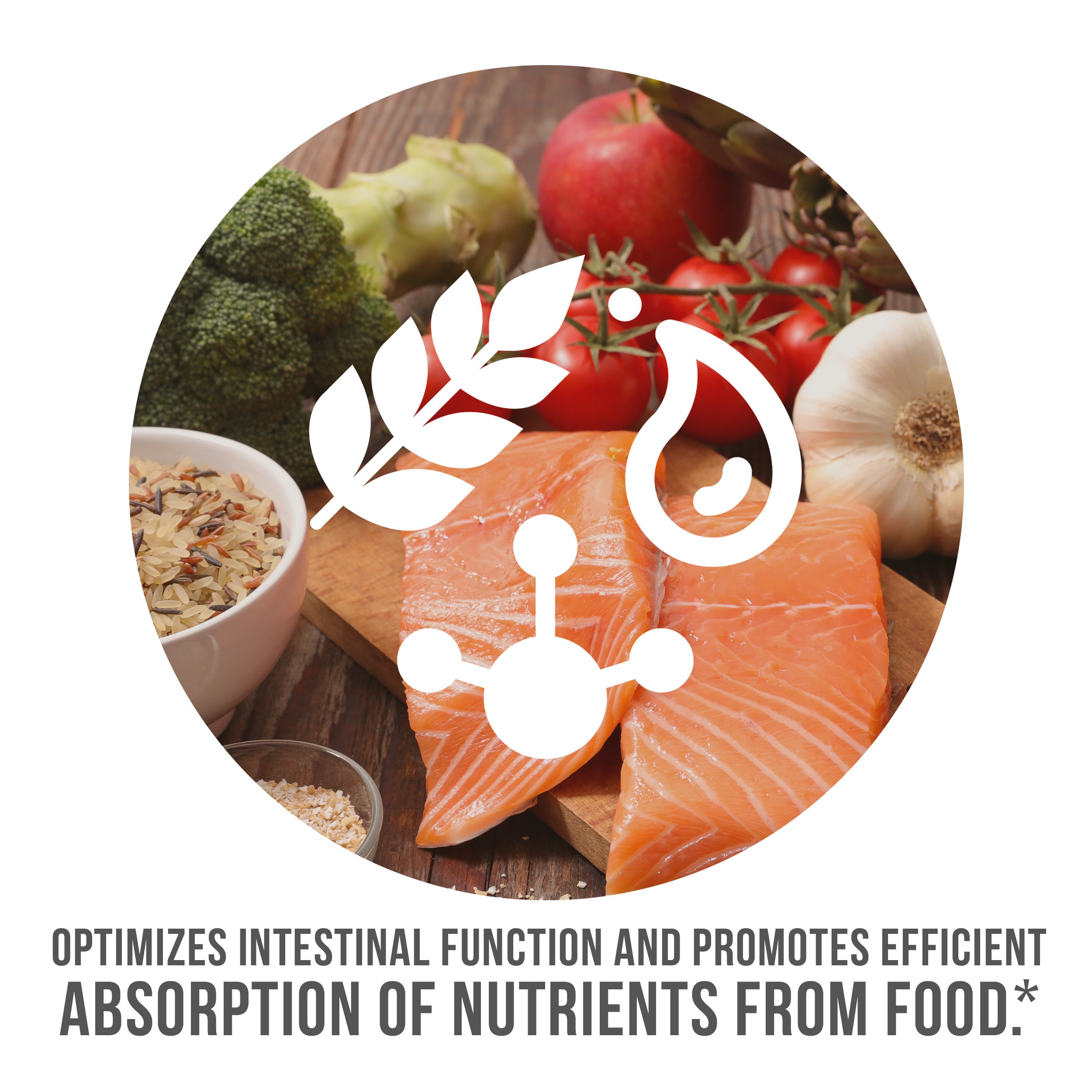 Promotes Intestinal Functions 