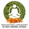 Adrenal Recovery Complex fights Adrenal Fatigue